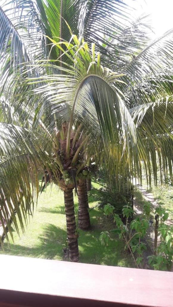 Pousada Do Dorinho Ilhabela Ngoại thất bức ảnh